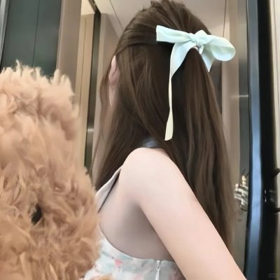 真假维梅尔