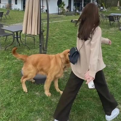 挚爱枭雄