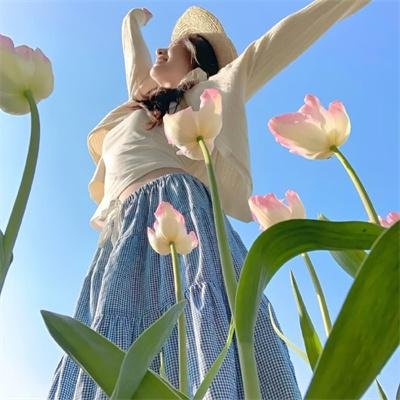 钢铁玫瑰